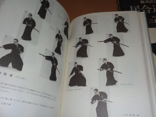 Amazon.co.jp: 無双直伝英信流居合道教範 三谷義里 : おもちゃ